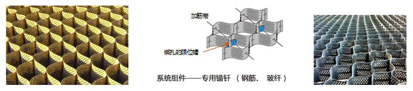 蜂巢約束系統